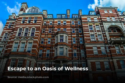 Escape to an Oasis of Wellness