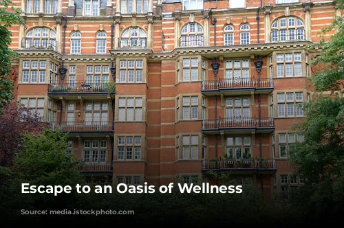 Escape to an Oasis of Wellness