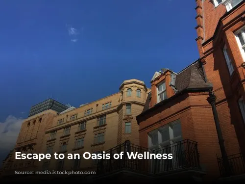 Escape to an Oasis of Wellness