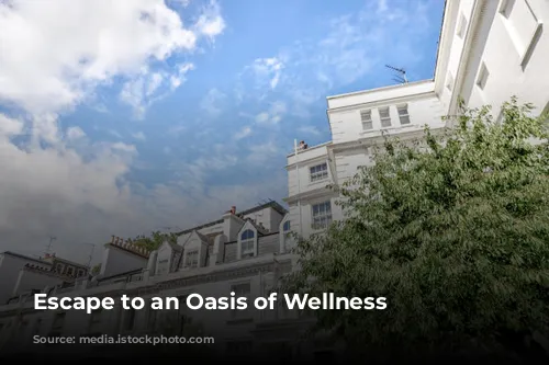 Escape to an Oasis of Wellness