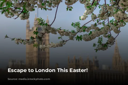 Escape to London This Easter!