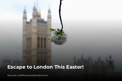 Escape to London This Easter!