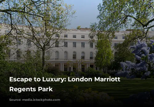 Escape to Luxury: London Marriott Hotel Regents Park