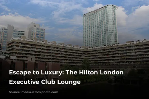 Escape to Luxury: The Hilton London Wembley Executive Club Lounge