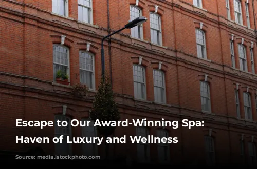 Escape to Our Award-Winning Spa: A Haven of Luxury and Wellness