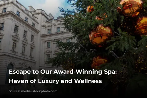 Escape to Our Award-Winning Spa: A Haven of Luxury and Wellness