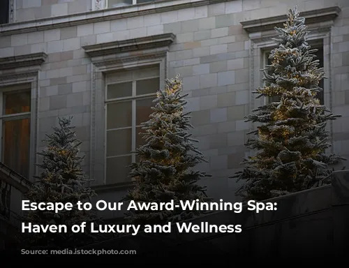 Escape to Our Award-Winning Spa: A Haven of Luxury and Wellness