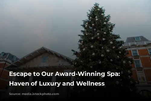 Escape to Our Award-Winning Spa: A Haven of Luxury and Wellness