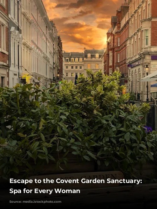 Escape to the Covent Garden Sanctuary: A Spa for Every Woman