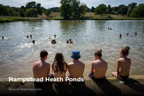 Hampstead Heath Ponds