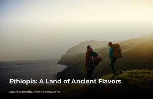  Ethiopia: A Land of Ancient Flavors 