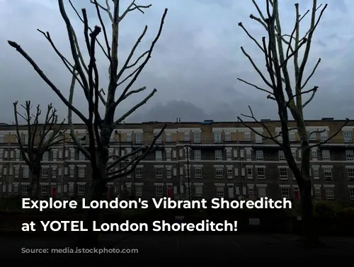 Explore London's Vibrant Shoreditch Scene at YOTEL London Shoreditch!