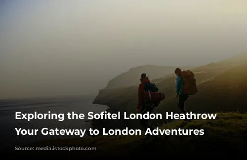 Exploring the Sofitel London Heathrow Hotel: Your Gateway to London Adventures