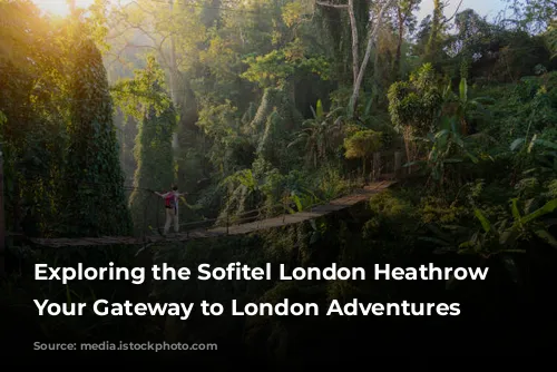 Exploring the Sofitel London Heathrow Hotel: Your Gateway to London Adventures