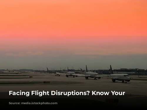 Facing Flight Disruptions? Know Your Rights!