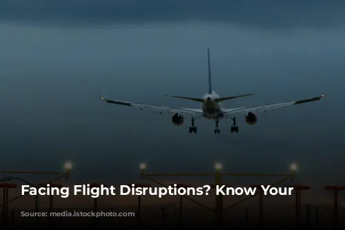 Facing Flight Disruptions? Know Your Rights!