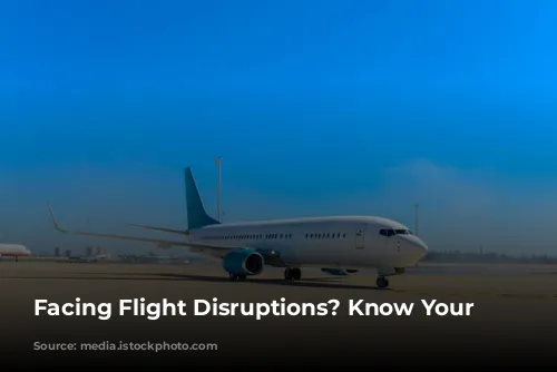 Facing Flight Disruptions? Know Your Rights!