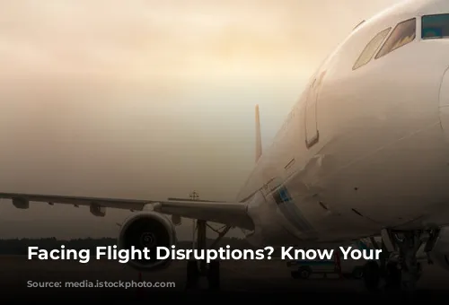 Facing Flight Disruptions? Know Your Rights!