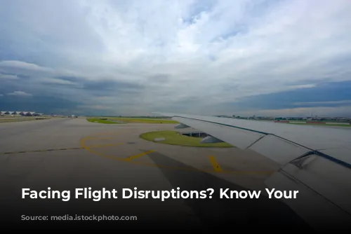 Facing Flight Disruptions? Know Your Rights!