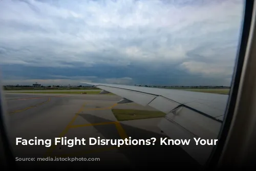 Facing Flight Disruptions? Know Your Rights!