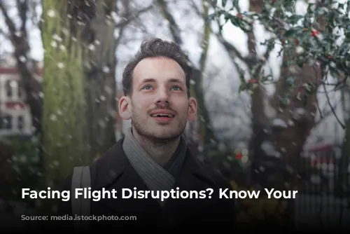 Facing Flight Disruptions? Know Your Rights!