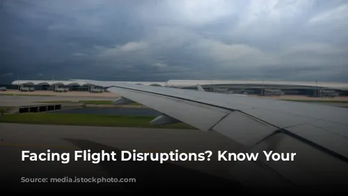 Facing Flight Disruptions? Know Your Rights!