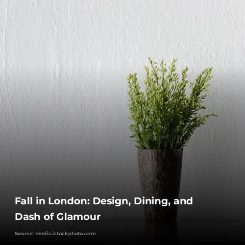 Fall in London: Design, Dining, and a Dash of Glamour