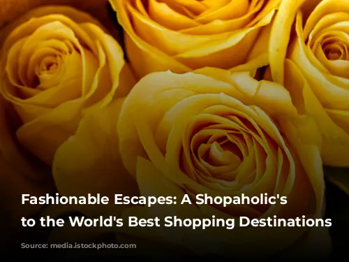 Fashionable Escapes: A Shopaholic's Guide to the World's Best Shopping Destinations