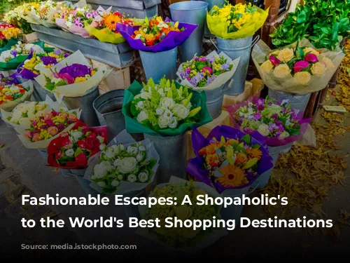 Fashionable Escapes: A Shopaholic's Guide to the World's Best Shopping Destinations