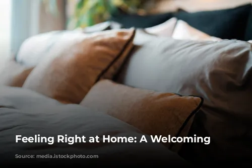 Feeling Right at Home: A Welcoming Stay