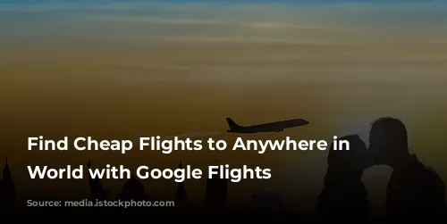 Find Cheap Flights to Anywhere in the World with Google Flights