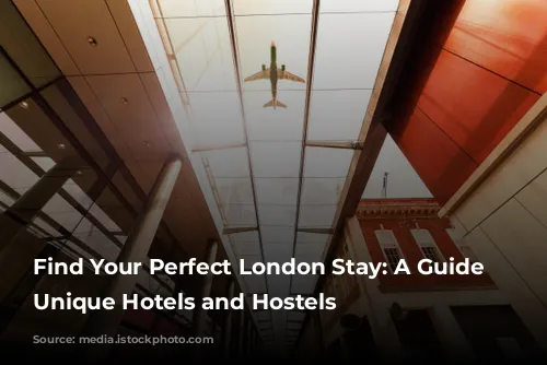 Find Your Perfect London Stay: A Guide to Unique Hotels and Hostels