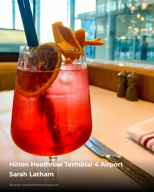 Hilton Heathrow Terminal 4 Airport Hotel Sarah Latham