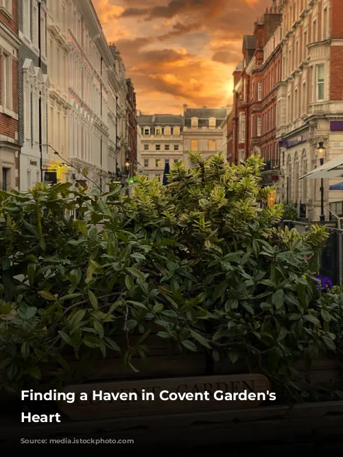 Finding a Haven in Covent Garden's Bustling Heart