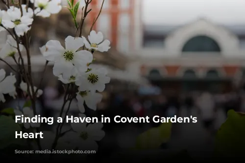 Finding a Haven in Covent Garden's Bustling Heart