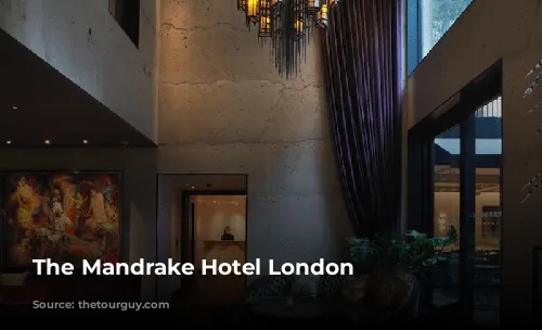 The Mandrake Hotel London