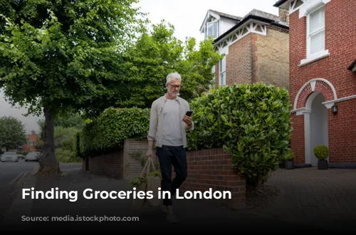 Finding Groceries in London