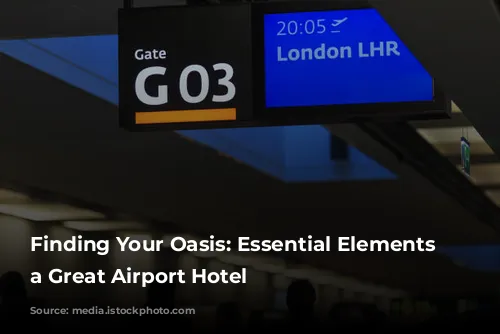 Finding Your Oasis: Essential Elements of a Great Airport Hotel