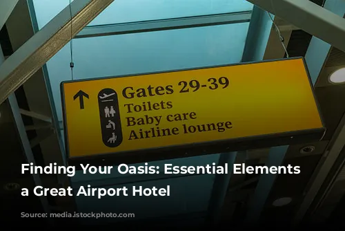 Finding Your Oasis: Essential Elements of a Great Airport Hotel