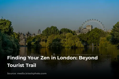 Finding Your Zen in London: Beyond the Tourist Trail