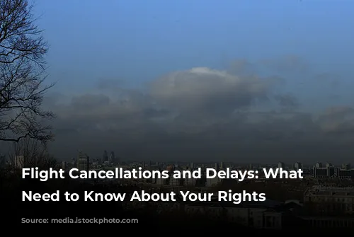 Flight Cancellations and Delays: What You Need to Know About Your Rights