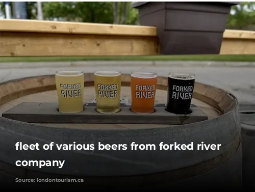 fleet of various beers from forked river brewing company