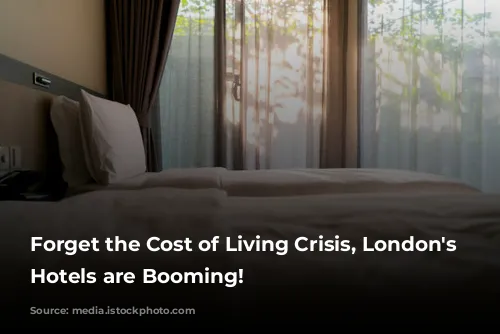 Forget the Cost of Living Crisis, London's Luxury Hotels are Booming!