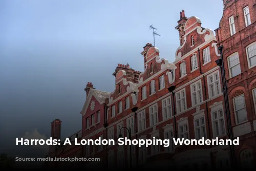 Harrods: A London Shopping Wonderland