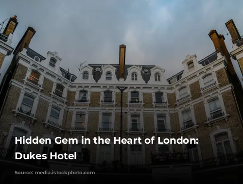 Hidden Gem in the Heart of London: The Dukes Hotel