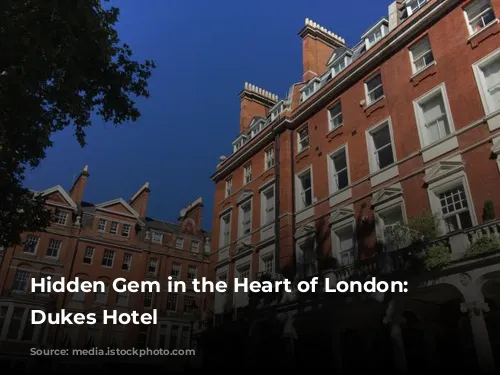 Hidden Gem in the Heart of London: The Dukes Hotel