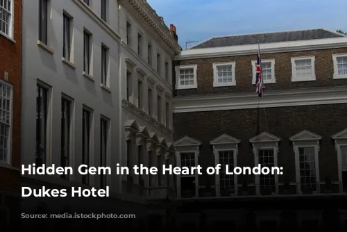 Hidden Gem in the Heart of London: The Dukes Hotel