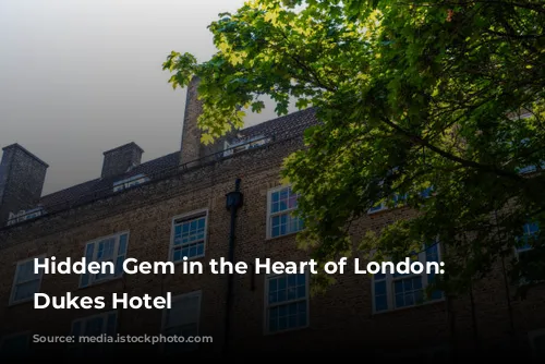 Hidden Gem in the Heart of London: The Dukes Hotel