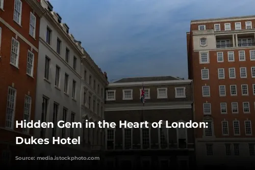 Hidden Gem in the Heart of London: The Dukes Hotel