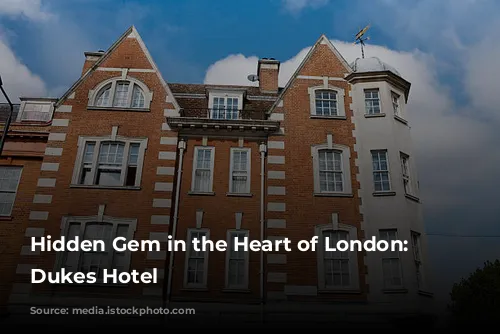 Hidden Gem in the Heart of London: The Dukes Hotel